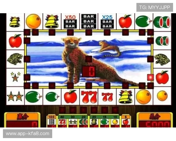 真人老虎机的游戏规则与玩法详解，让你轻松上手享受游戏乐趣