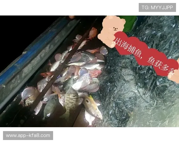 K8捕鱼国际如何选择最佳捕鱼策略，提升获胜几率的实用建议